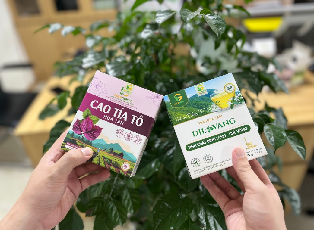 Thời tiết giao mùa: Thủ sẵn ngay combo Tía tô hòa tan và Dil Vang để bảo vệ hệ hô hấp cho cả gia đình